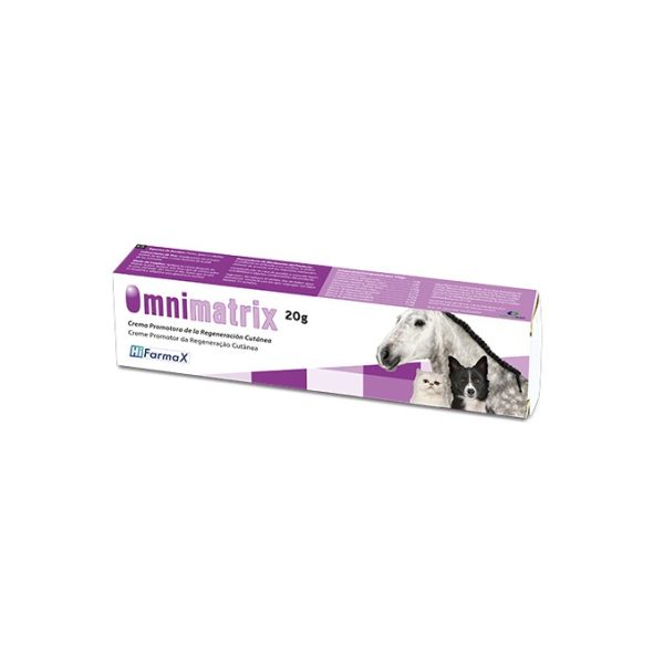 Omnimatrix